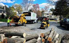 Lawn Grading and Leveling in Martin, SD